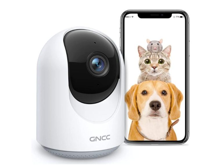 Cámaras y Dispositivos de Monitoreo para Mascotas