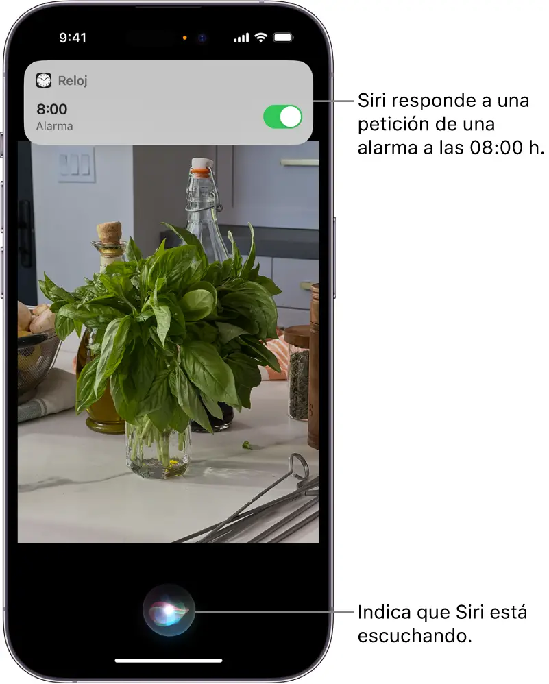 Solución de Problemas Comunes con Siri